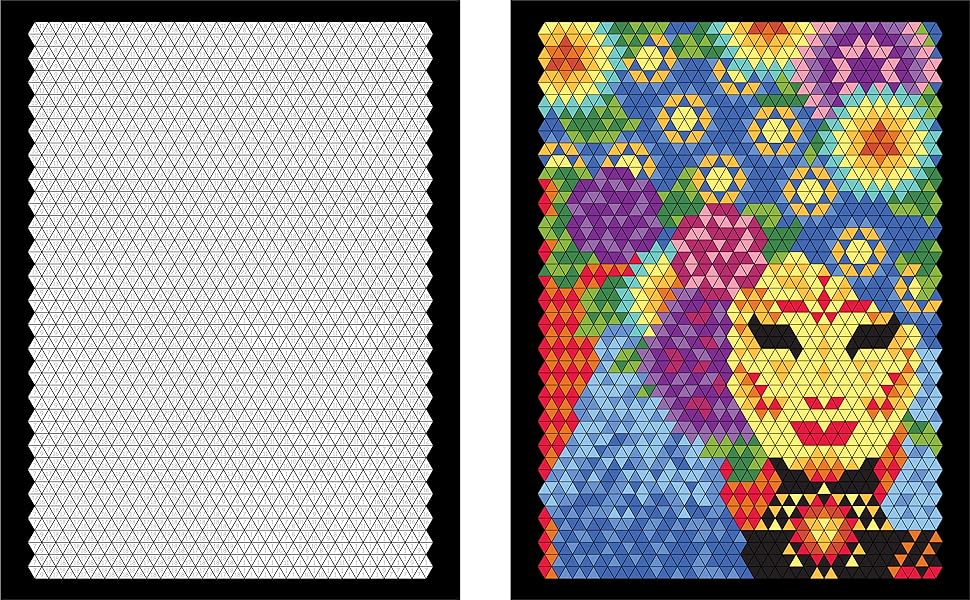 100 QUEST Color By Number Book